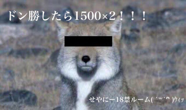LTppS1's tweet photo. 突発デュオゲリラ

25:30

応募方法
@LTppS1 
全員ふぉろりつ！

一般パス
25:30
@LTppS1 

💰1500選択〇

ほぼ一般

#デュオ
#ゲリラ
#デュオゲリラ https://t.co/RvSzlRdd94
