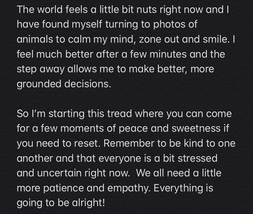 ⭐️