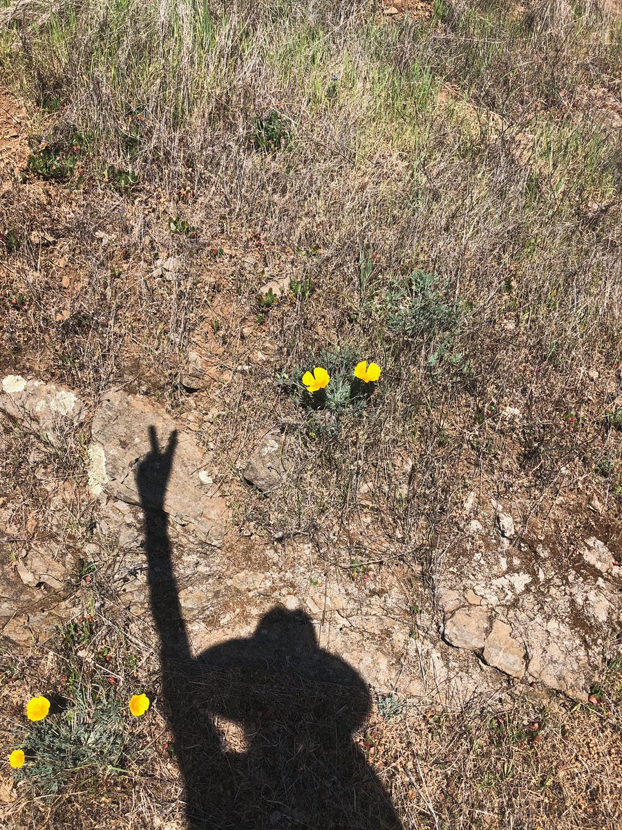 Breathe in. Breathe out. Repeat🌱