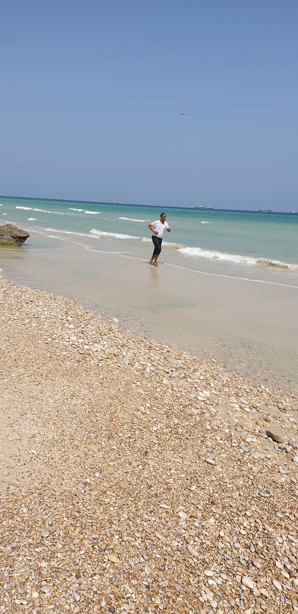 alihwarsame tweet picture