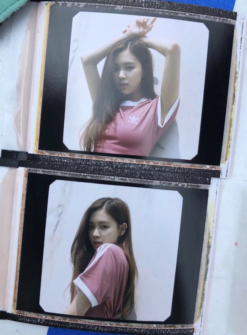 roseannepics's tweet photo. Some polaroids https://t.co/l3FbZKVJON