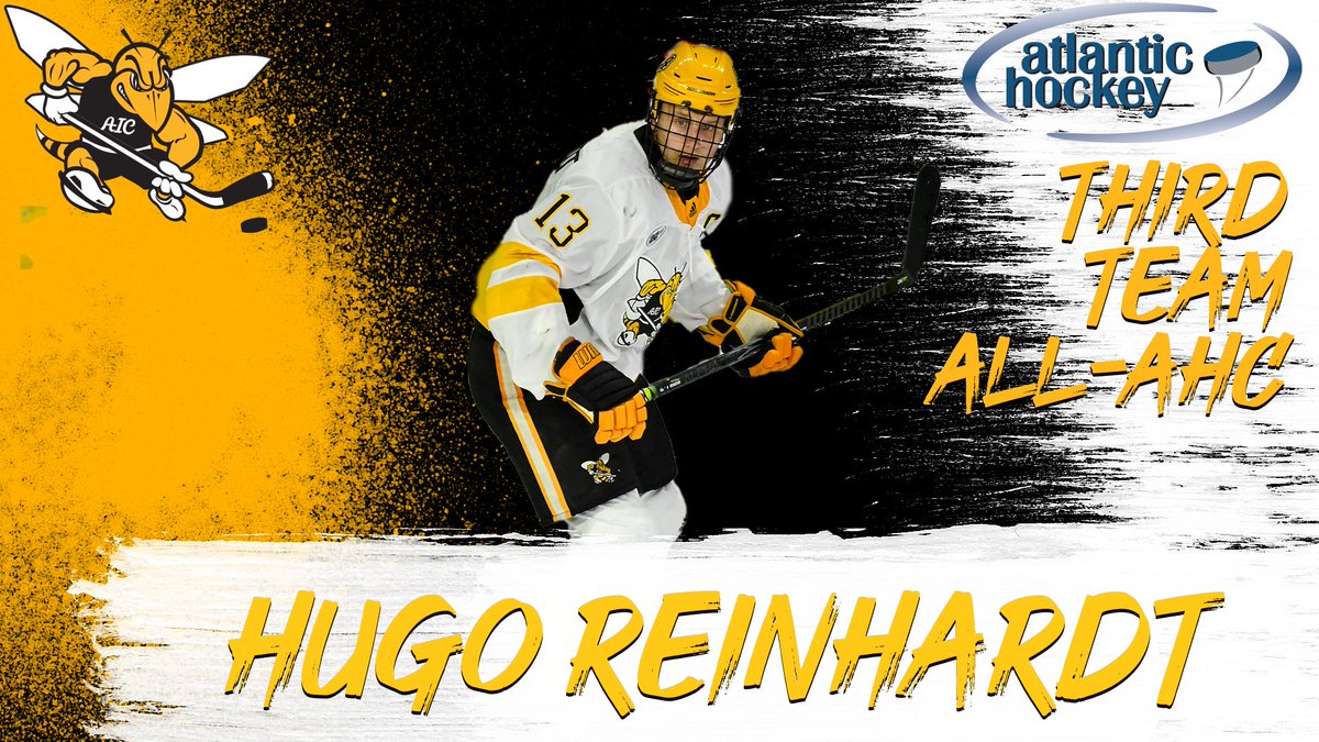 AIC Hockey tweet media