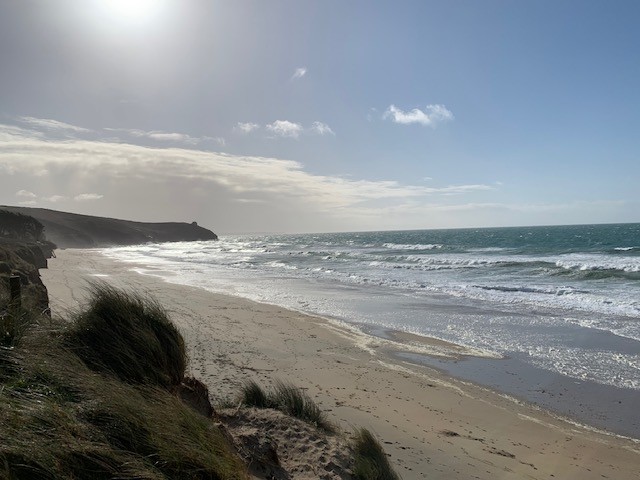 Cornish Cottages tweet media