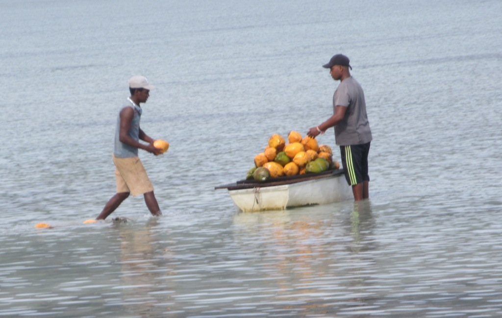 Les Chagos seront d'abord intégrées à la colonie des Seychelles puis passeront dans la colonie de l'île Maurice en 1903.Au milieu des années 1960, l'archipel reste peu peuplé. Sa population est estimée à environ 2 000 personnes, regroupée sur 3 îles dont celle de Diego Garcia.