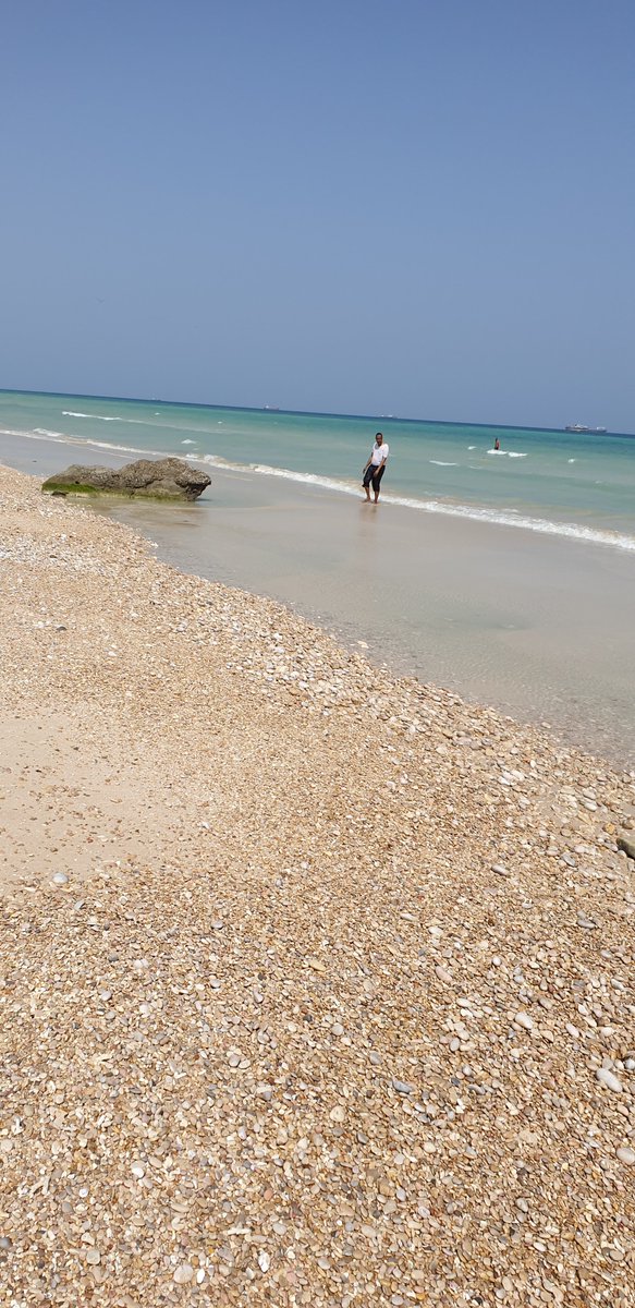 alihwarsame tweet picture