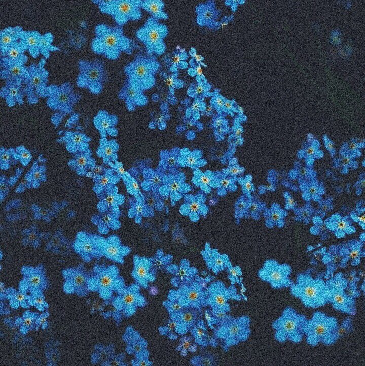 libramin_'s tweet photo. 🦋🦋 Giuseppe Conte aesthetic (soft blue boy fantasy ver.) 🦋🦋 https://t.co/VPRDpXVtoG
