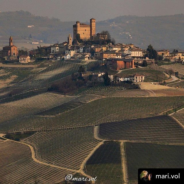 BaroloCastles tweet media