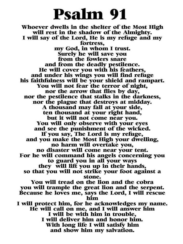 TheQueenMinerva's tweet photo. Have no fear. The word of God is active and near. https://t.co/pwgiFZoUyY