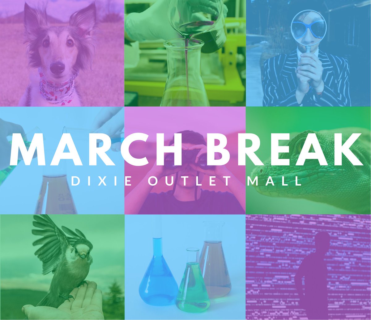 Dixie Outlet Mall tweet media