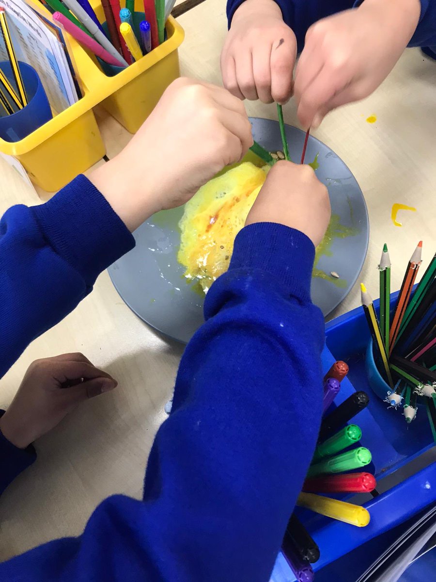 The Inquisitive Child at Colmore Infants tweet media