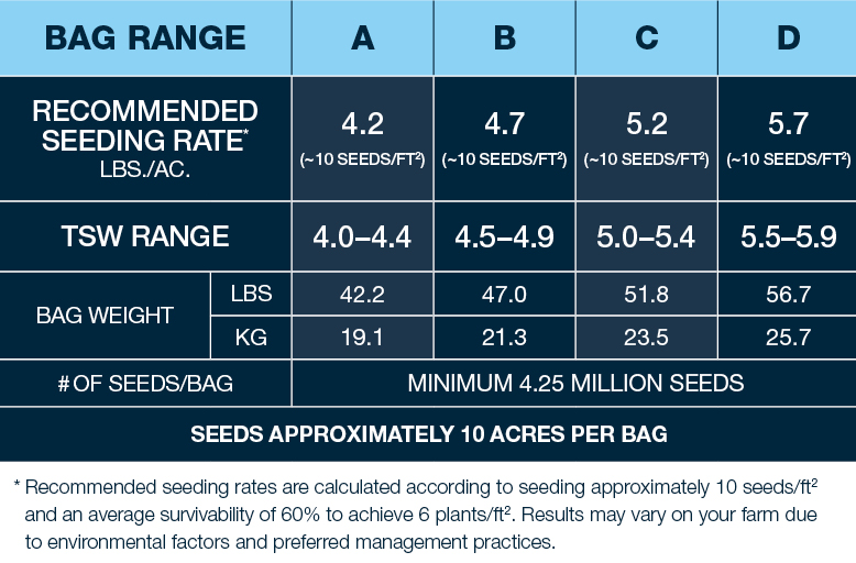 BASFAgSolutions's tweet photo. Innovation isn’t limited to what’s inside the bag. Our new #InVigor packaging features four different thousand seed weight ranges and seeding rate recommendations to help you achieve your ideal plant population. See for yourself: https://t.co/QD2azICM05 #WestCdnAg #InVigorRATE https://t.co/6YluWxCGmN