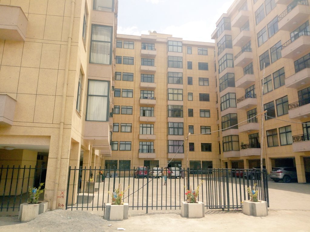 Armon33481461's tweet photo. 4: The MARKETING side! I went to Tsehay Real
Estate and Noah East Gate Apartments to do promotional work and look for potential sites to work with. Respect to all sales people for enduring the tiresome movement. Thanks! @SihamCAS @MrDRedmond @ICSAddisHS @WebSprix #ICSintern20 https://t.co/vhNajhDL9S
