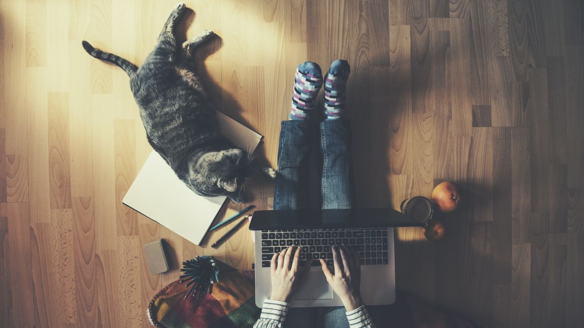 Many people are starting a self quarantine due to coronavirus, but what's the difference between this and isolation? via <a href="/lifehacker/">Lifehacker</a> buff.ly/3aJz2W6