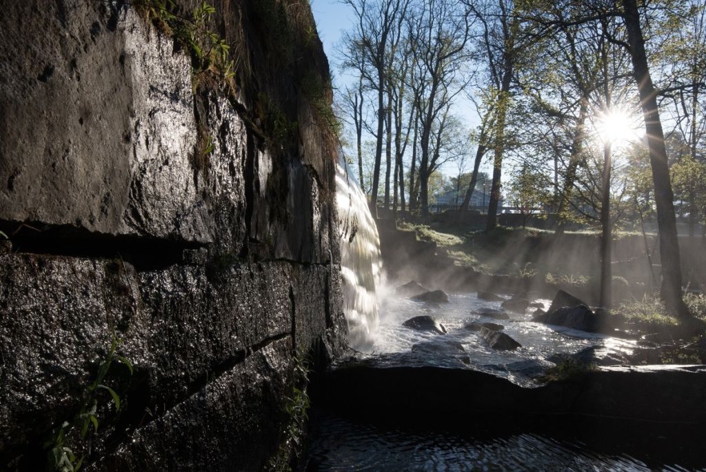 Visit MWV tweet media