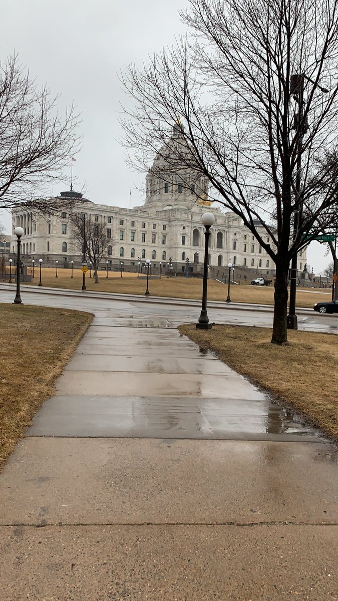 ElMaghrabyRana's tweet photo. At the #MinnesotaStateCapitol for the Mental Health Advocacy Day! @MNPsychSoc @APAPsychiatric @NAMIMinnesota https://t.co/uAtuEwWeAe