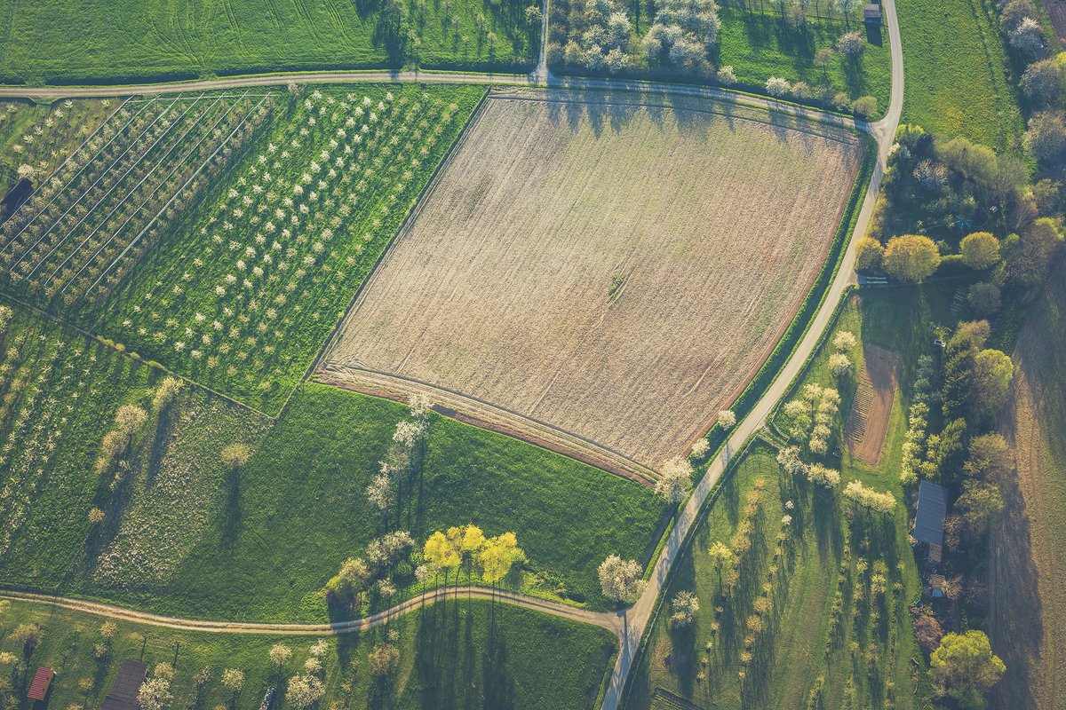 ItTakesAForest's tweet image. Contrary to popular belief, trees DO NOT lower productivity of #farmlands. In fact, #woodlots, #windbreaks &amp;amp; streambank plantings improve #soil quality to support the overall health &amp;amp; #resiliency of the #environment AND can lead to energy savings &amp;amp; tax breaks. #ItTakesAForest