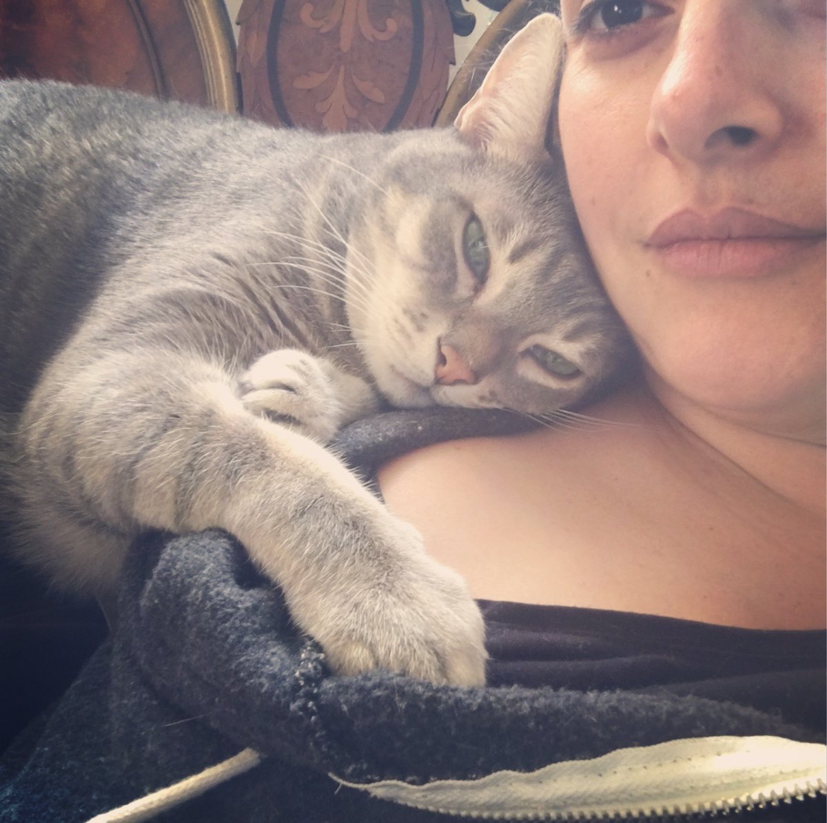 Sandy Parlin tweet media