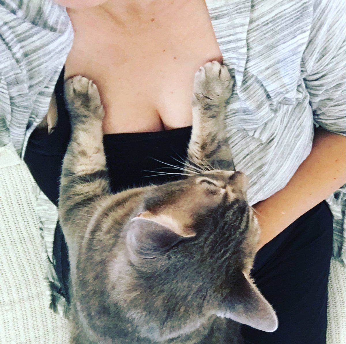 Sandy Parlin tweet media