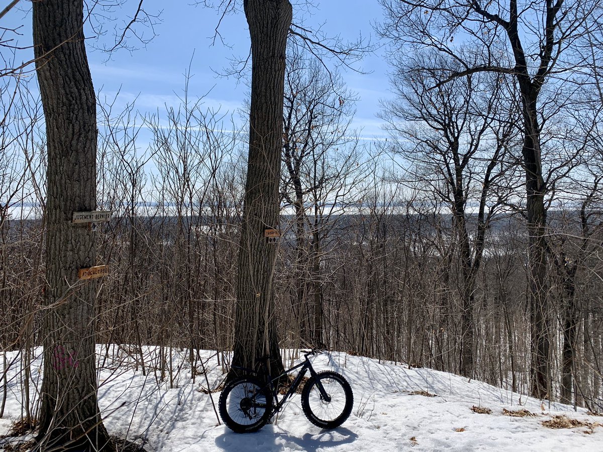 AlquierThierry's tweet photo. Isolation &amp; belated birthday in Oka park. Not bad for a lunch spot ! #fatbike #notbikingtowork #SFD5 https://t.co/LoPcCc8i2v