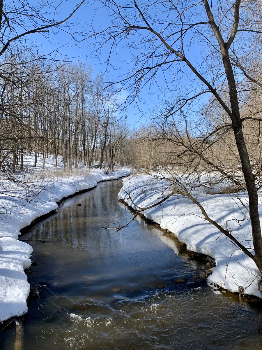 AlquierThierry's tweet photo. Isolation &amp; belated birthday in Oka park. Not bad for a lunch spot ! #fatbike #notbikingtowork #SFD5 https://t.co/LoPcCc8i2v