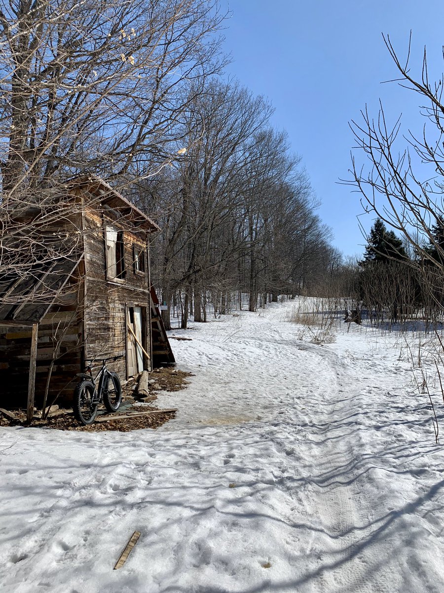 AlquierThierry's tweet photo. Isolation &amp; belated birthday in Oka park. Not bad for a lunch spot ! #fatbike #notbikingtowork #SFD5 https://t.co/LoPcCc8i2v