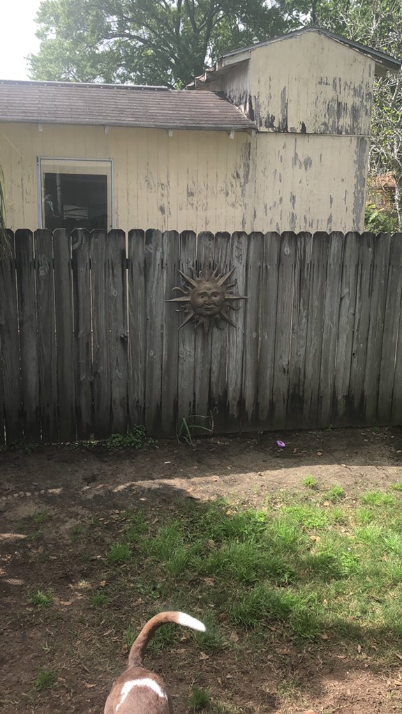 thickens_plot's tweet image. Praise the sun