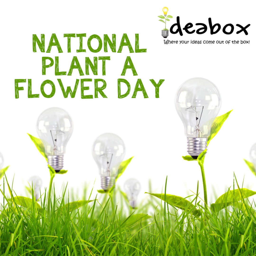 IdeaBoxProforma tweet picture