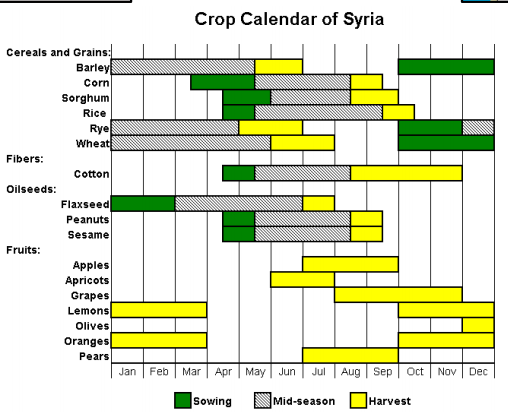 Syria needs roughly about 650,000 tonnes of wheat to get to the harvest season, which starts in June (FAO graphic). We're in March and the regime is struggling to buy even 200,000 tonnes. This is based on an annual consumption of 2.5 million tonnes of wheat.