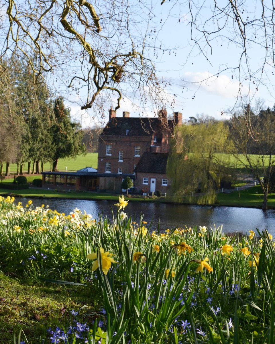 AubergeBrocket's tweet photo. Daffodil's are springing up and we can't wait for al fresco dining on the terrace! Stay tuned for more details 🌤

For reservations: 01707 368888 | auberge@brocket-hall.co.uk  
https://t.co/SpIp2hJ2Sl https://t.co/zjnMQrOe2j