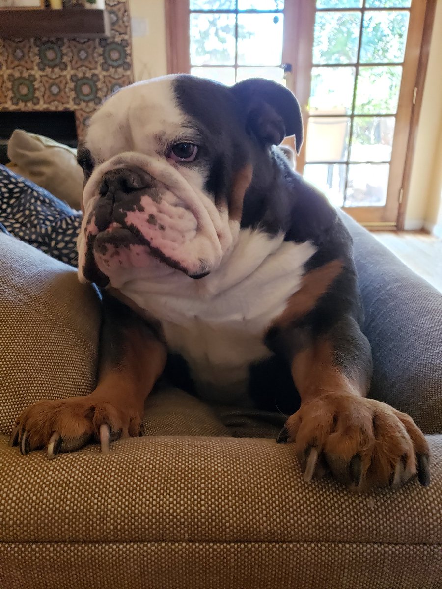 View image on Twitter