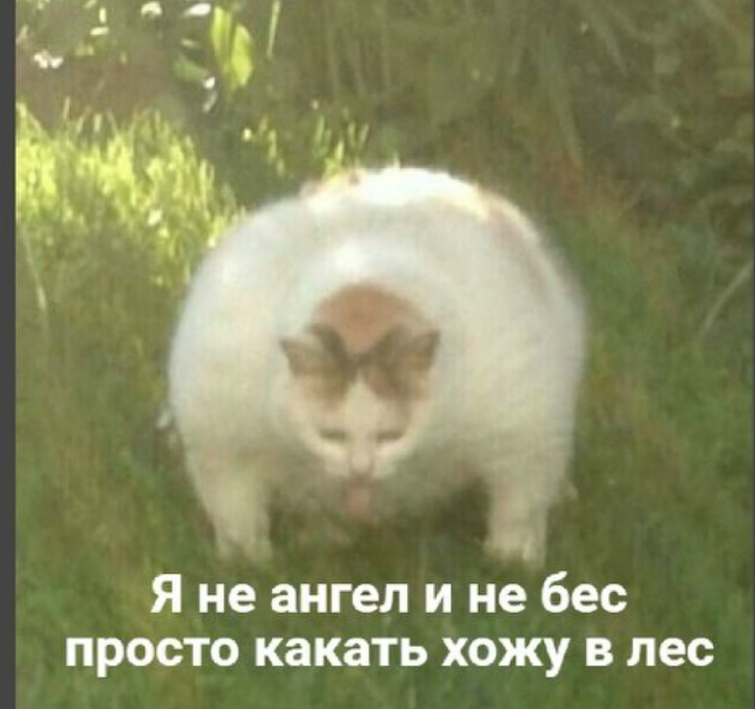 kibergnom's tweet photo. Я: сейчас я это съем и не буду блевать, я заслуживаю нормально поесть
Я после того как поела: ты говно, это всё был обман, ловушка. Ты знаешь где туалет, вперёд.
#рпп #рппвсим #рппмем #пищевоерасстройство #eatingdisoder https://t.co/9aYGmUQTNc