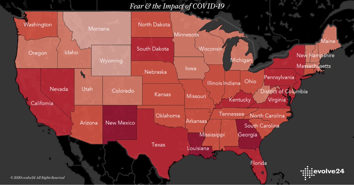 evolve24 tweet media