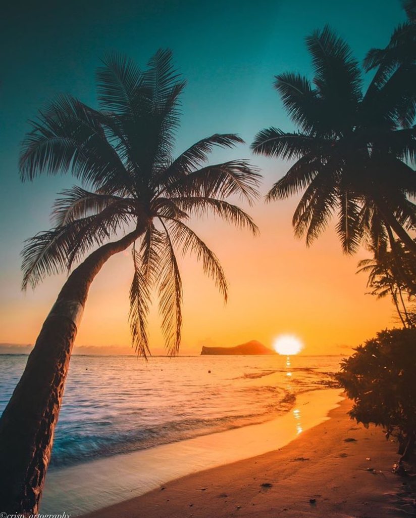beachlifemind's tweet photo. “The only journey is the one within”🏝
#beachlifemindset #beachmoreworryless
photo: @crisp_artography
#honoluluhawaii🌺 https://t.co/rIWh8bg1DH