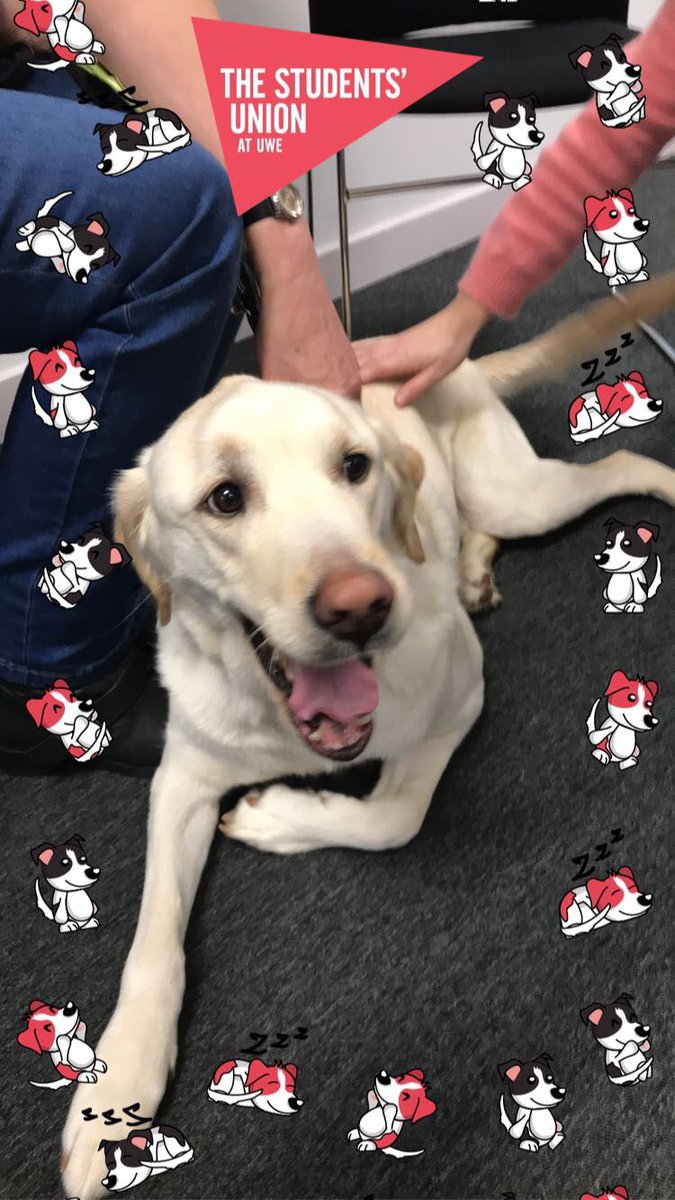 UWERAG's tweet photo. 📣RAG Week Total📣

We raised £4000- thank you to everyone for your amazing efforts! 

Here are some of the charities that we raised money for: 
👉 Christina Noble Children's Foundation: £2000
👉 @MindlineTrans : £1000
👉 @guidedogs: £435 https://t.co/F8EF34OPfo