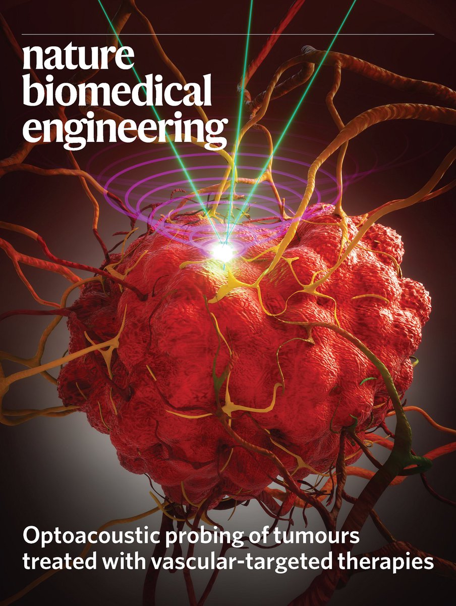 Nature Biomedical Engineering on Twitter: "The March cover illustrates the use of high-resolution raster-scanning optoacoustic mesoscopy to obtain morphological and physiological insights into the responses of tumours to ...