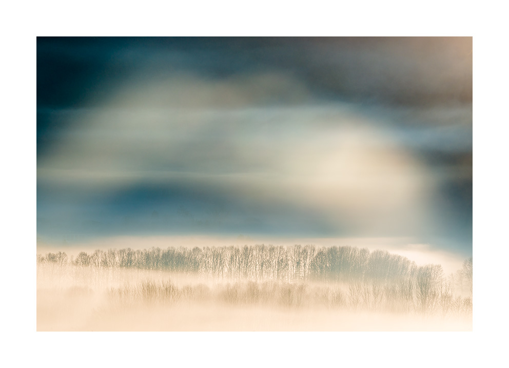 xaviermanrique's tweet photo. La vall despertava. Mirava la pluja. De llum. Sobre el vent blanc.
El valle despertaba. Miraba la lluvia. De luz. Sobre el viento blanco.
#breusproject
#nature
#bellesa #melangia #poemavisual
#valldenbas #garrotxa
#minimalism
#landscapephotography #naturephtography
#xmanrique https://t.co/ylKjVqcGUQ