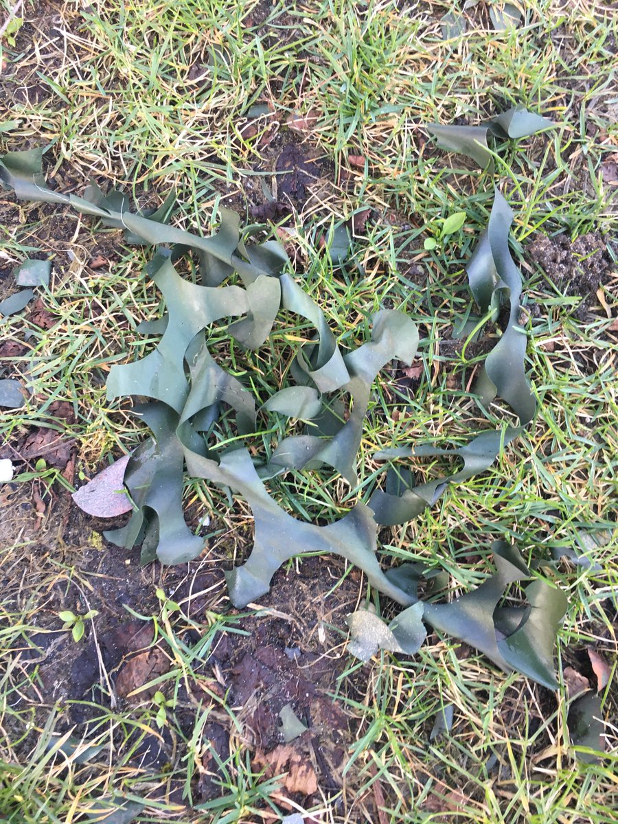 CanalCups's tweet photo. Het doek van de Morspoort garage blijft maar plastic strooien. De @GemeenteLeiden zou elke dag ter plaatse zijn om de loskomende fladders op te ruimen. Het fietspad ligt echter bezaaid, net als het gras, de straat en alles waait de gracht in, al weken. #Leiden https://t.co/uJDm0CnvPO