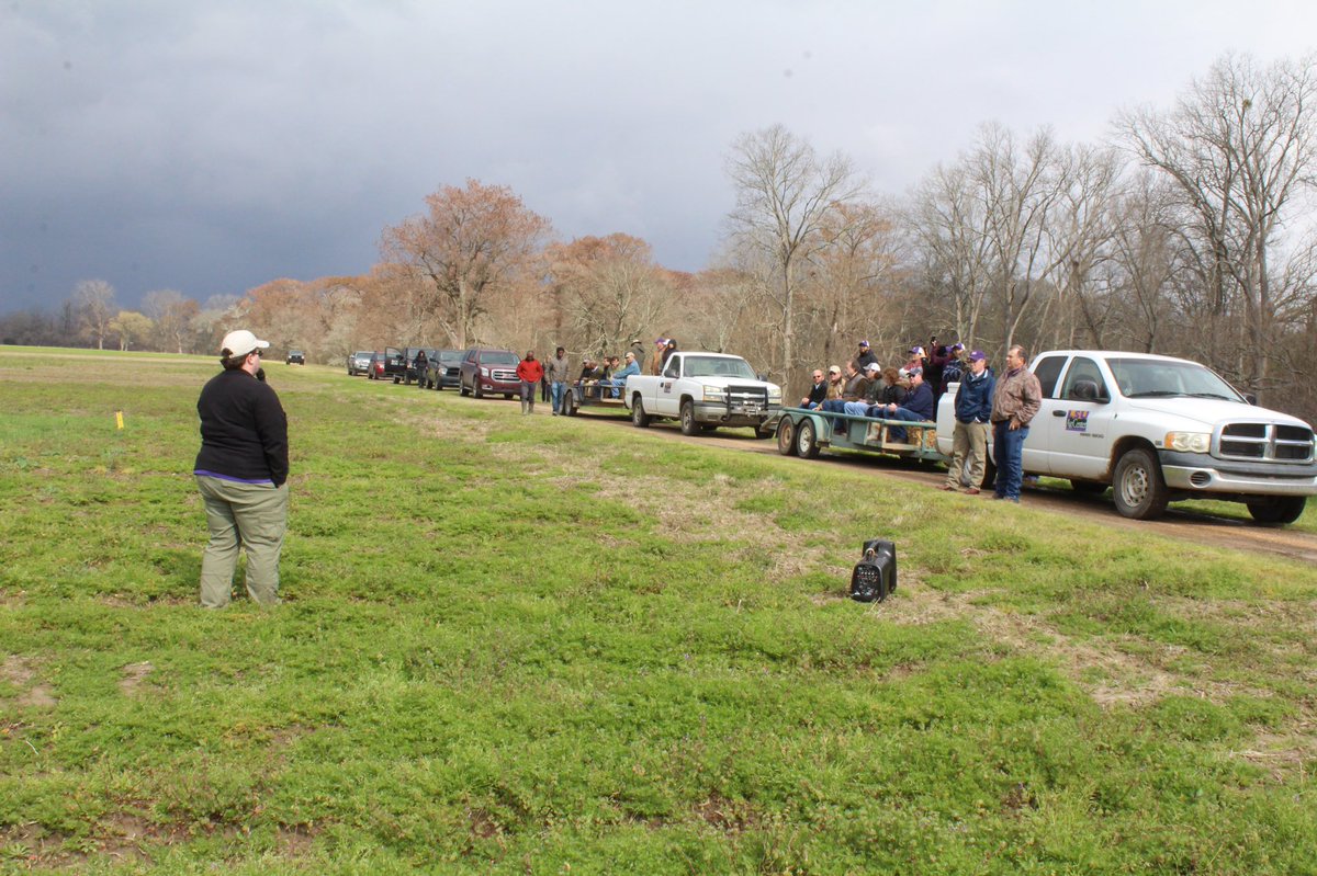 The Soil Health and Cover Crop Field Day gave insight to producers and allowed for interactive learning. Click the link for a recap 🌱 
bit.ly/2xB8RCZ