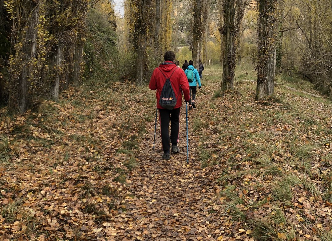 ArrabalEl's tweet photo. Descubre numerosas rutas de #senderismo, ideal para compartir con los #amigos 🚶‍♂️🚶‍♀️.

Puedes 𝒂𝒍𝒒𝒖𝒊𝒍𝒂𝒓 𝒏𝒖𝒆𝒔𝒕𝒓𝒂 𝒄𝒂𝒔𝒂 🏨 𝒂𝒍 𝒄𝒐𝒎𝒑𝒍𝒆𝒕𝒐 𝒚 con #𝒃𝒂𝒓𝒃𝒂𝒄𝒐𝒂 🍖🥩.

#senderismoguadalajara #senderistas  #rutassenderistas ##naturaleza https://t.co/iz6wSsxXWH
