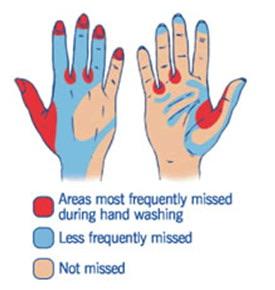 hivemail's tweet photo. Keep yourself from getting sick. Take the time to properly wash your hands. If you have kids, get this process ingrained into their heads.

#CoronaOutbreak #Canada #Coronavirus #handwashing https://t.co/HN8EpA21LI
