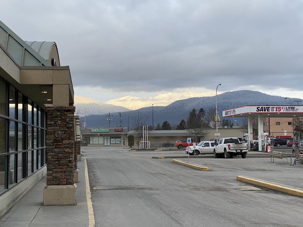 Norm Taylor tweet media