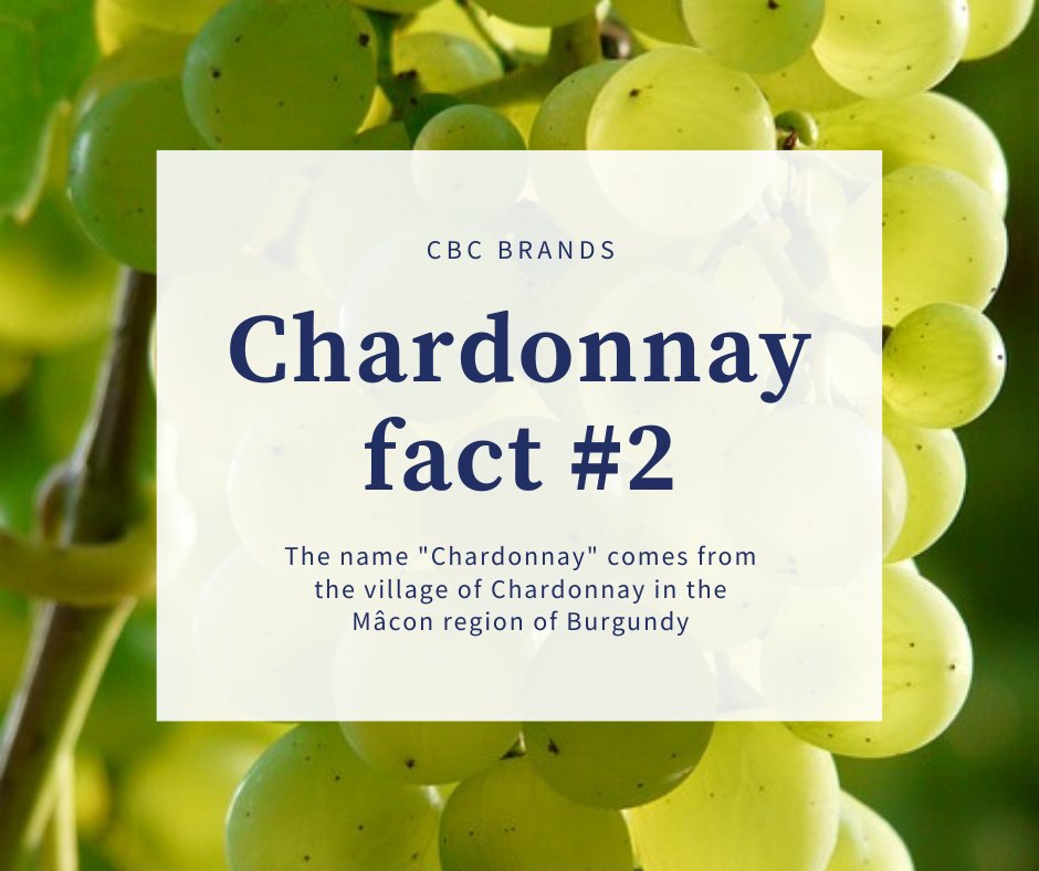 cbc_brands's tweet photo. Did you know Chardonnay gets its name from the village of Chardonnay in the Mâcon region of Burgundy? It has also been called Chardenet, Chardennet, Chaudenet, and others.

Shop Chardonnay on CBC Brands!

https://t.co/KSPtzoFkh6

#cbcbrands #wine #winefact #chardonnay #winelover https://t.co/EXXTTHWYfX