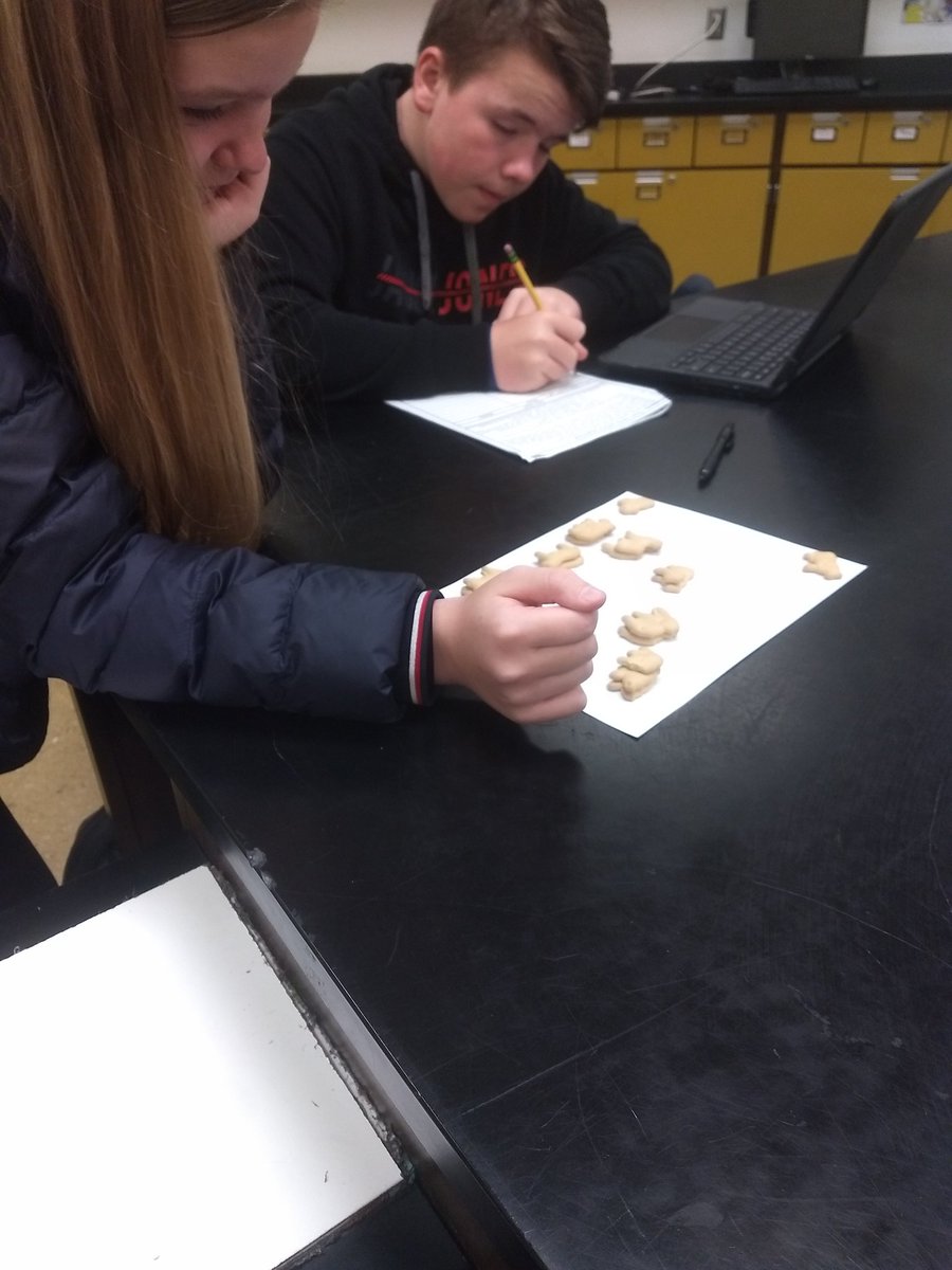 Ms D's Science Zone tweet media