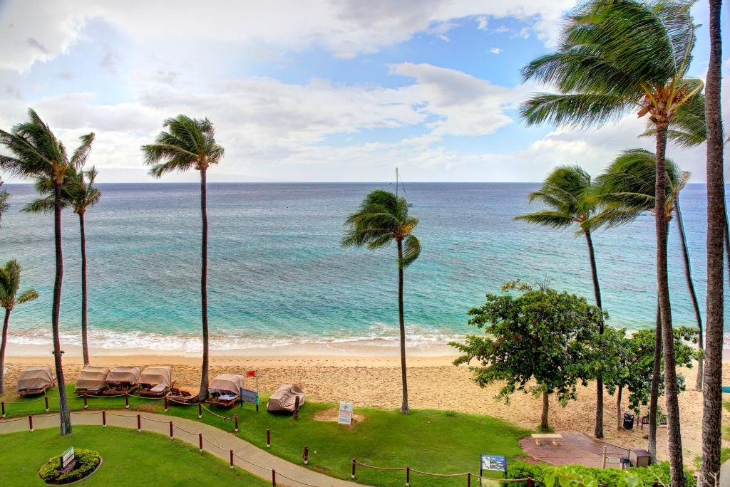 ResidencesHI's tweet photo. Kaanapali Alii views from residence #155 😍 😎 

Want to be front and center on the best stretch of Kaanapali Beach? Click the link in our bio to see our best offers.

#makeourdestinationyours #oceanfront #beachvibes #vacay #vacationmode #vacationviews #hawaiigram https://t.co/7xMaQ2xyro