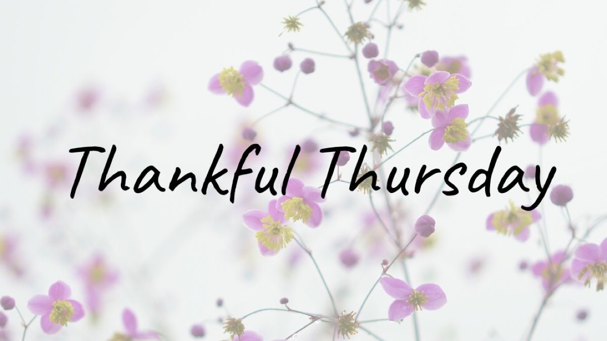 oilysparrow's tweet photo. Lately, I've been so busy that I don't give myself any time to think about positive things. My new planner has a little corner for daily gratitude. That's how I'm practicing being more thankful. I challenge you to find a little corner of your day to do the same.
#thankfulthursday https://t.co/EScr9G3LyB