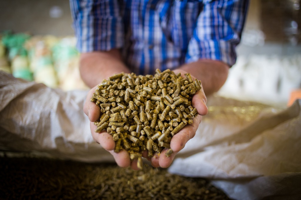 Via Grainews and Cattlemen's Corner: Topics of livestock feed and animal health at Animal Nutrition Conference of Canada #ANCC2020 #CdnAg grainews.ca/blog/topics-of…