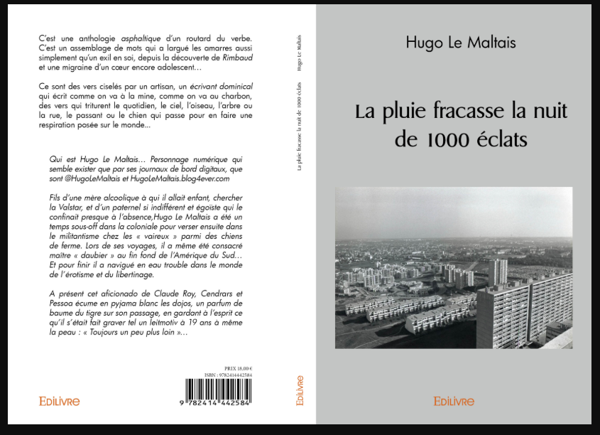 Hugo Le Maltais tweet media