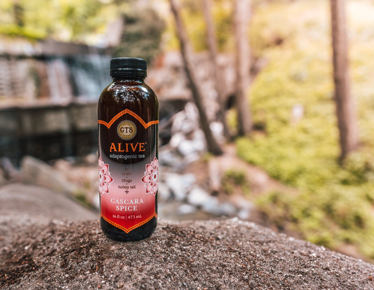 drink_synergy's tweet photo. Our bodies are constantly under attack. Protect yourself with GT's ALIVE: each bottle has plant adaptogens with antioxidants that counteract free-radical stress.

#GTsKombucha #Adaptogens #AdaptogenicTea #MateMint #Reishi #Chaga #TurkeyTail #MotherNature #Tea #Vegan #LivingFood https://t.co/qbA5g232Yl
