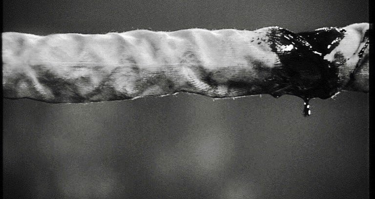 cinesthetic. tweet media