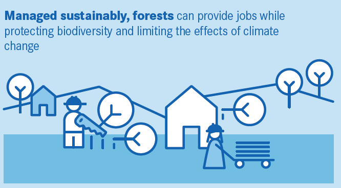 #Forestfacts